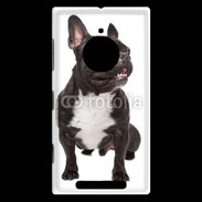 Coque Nokia Lumia 830 Chiot Bulldog français 620