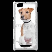 Coque Sony Xperia M Jack Russel terrier 600