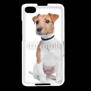 Coque Blackberry Z30 Jack Russel terrier 600