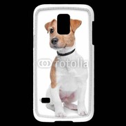 Coque Samsung Galaxy S5 Mini Jack Russel terrier 600