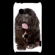 Coque Sony Xperia Typo Chiot Terre neuve 500