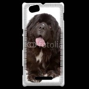 Coque Sony Xperia M Chiot Terre neuve 500