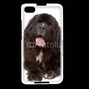 Coque Blackberry Z30 Chiot Terre neuve 500