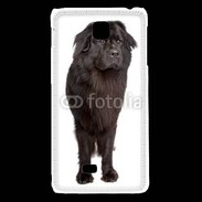 Coque LG F5 Terre Neuve 510