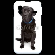 Coque Samsung ACE S5830 Labrador noir adulte 600