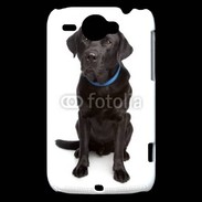 Coque HTC Wildfire G8 Labrador noir adulte 600