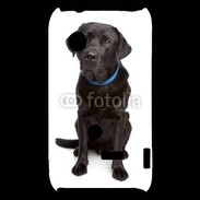 Coque Sony Xperia Typo Labrador noir adulte 600