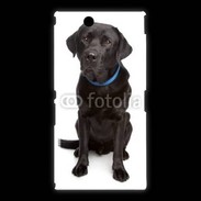 Coque Sony Xpéria Z Ultra Labrador noir adulte 600