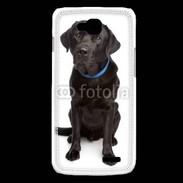 Coque LG L90 Labrador noir adulte 600