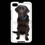 Coque Blackberry Z30 Labrador noir adulte 600