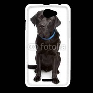 Coque HTC Desire 516 Labrador noir adulte 600