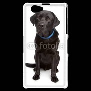 Coque Sony Xperia Z1 Compact Labrador noir adulte 600