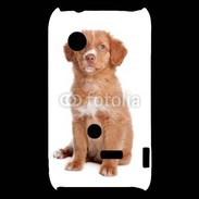 Coque Sony Xperia Typo Chiot Retriever 600