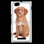 Coque Sony Xperia M Chiot Retriever 600