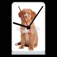 Pendule de bureau Chiot Retriever 600
