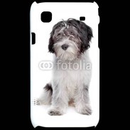 Coque Samsung Galaxy S Schapendoes Dutch Sheepdog