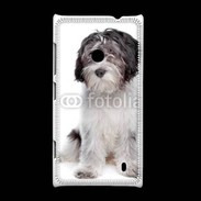 Coque Nokia Lumia 520 Schapendoes Dutch Sheepdog