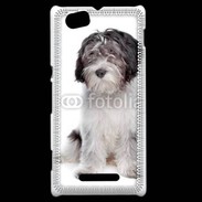Coque Sony Xperia M Schapendoes Dutch Sheepdog