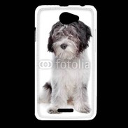 Coque HTC Desire 516 Schapendoes Dutch Sheepdog