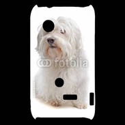 Coque Sony Xperia Typo Bichon Maltais 600