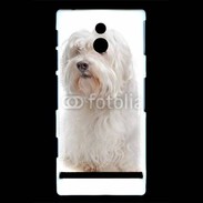 Coque Sony Xperia P Bichon Maltais 600