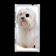 Coque Nokia Lumia 520 Bichon Maltais 600