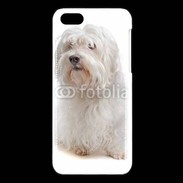 Coque iPhone 5C Bichon Maltais 600