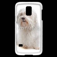 Coque Samsung Galaxy S5 Mini Bichon Maltais 600