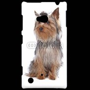 Coque Nokia Lumia 720 Yorkshire Terrier 16