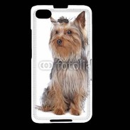 Coque Blackberry Z30 Yorkshire Terrier 16