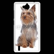 Coque Huawei Ascend G740 Yorkshire Terrier 16