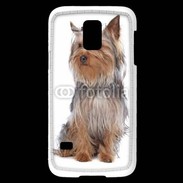 Coque Samsung Galaxy S5 Mini Yorkshire Terrier 16