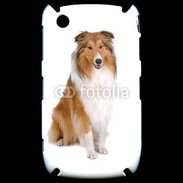 Coque Blackberry 8520 Chien Colley 500