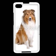 Coque Blackberry Z30 Chien Colley 500