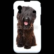 Coque Samsung ACE S5830 Briard adulte 600