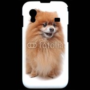 Coque Samsung ACE S5830 Keeshond 500
