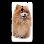 Coque Nokia Lumia 1320 Keeshond 500