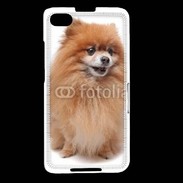 Coque Blackberry Z30 Keeshond 500