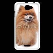 Coque HTC Desire 516 Keeshond 500