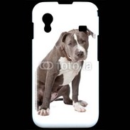 Coque Samsung ACE S5830 American staffordshire bull terrier