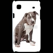 Coque Samsung Galaxy S American staffordshire bull terrier