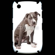 Coque Blackberry 8520 American staffordshire bull terrier