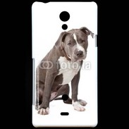 Coque Sony Xperia T American staffordshire bull terrier