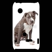 Coque Sony Xperia Typo American staffordshire bull terrier