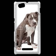 Coque Sony Xperia M American staffordshire bull terrier