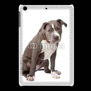 Coque iPadMini American staffordshire bull terrier