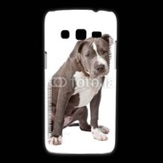 Coque Samsung Galaxy Express2 American staffordshire bull terrier