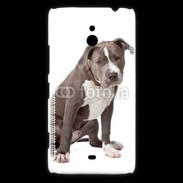 Coque Nokia Lumia 1320 American staffordshire bull terrier