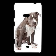 Coque Nokia Lumia 625 American staffordshire bull terrier