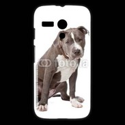 Coque Motorola G American staffordshire bull terrier